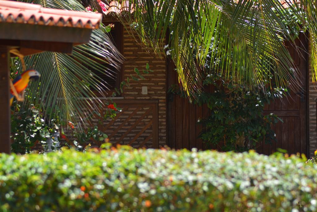 Pousada Arco Mundial Taiba Exterior photo
